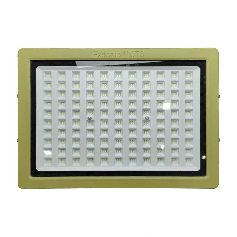 Đèn phòng nổ DNP1S400 - Ảnh 10