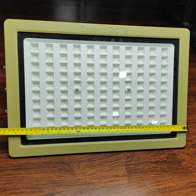 Đèn phòng nổ DNP1S400 - Ảnh 4