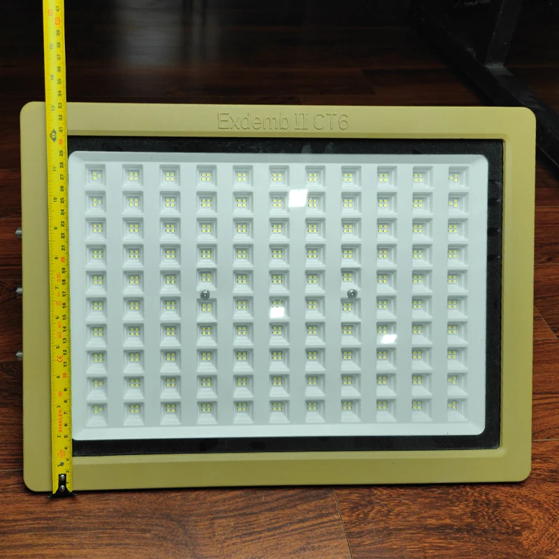 Đèn phòng nổ DNP1S400 - Ảnh 3