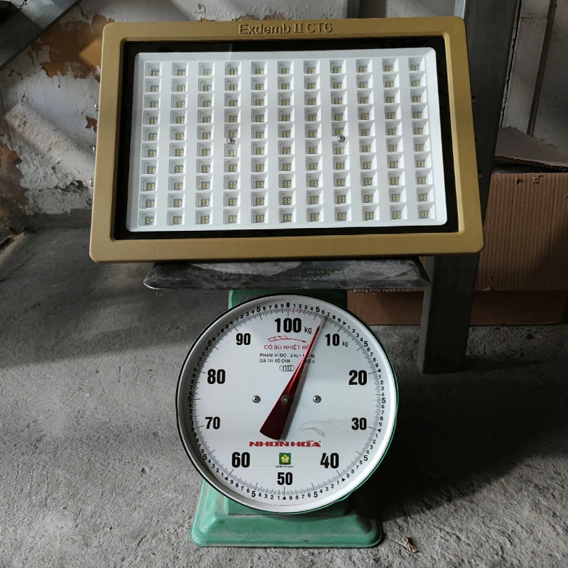 Đèn phòng nổ DNP1S400 - Ảnh 2